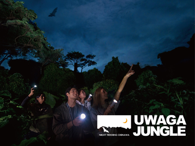 UWAGA JUNGLE