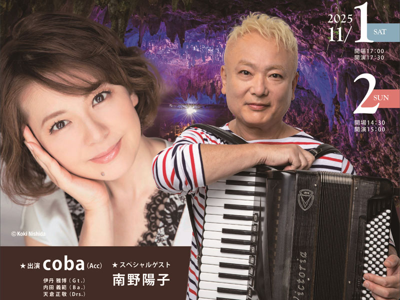 UWAGA JUNGLE