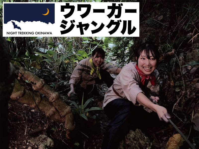 UWAGA JUNGLE