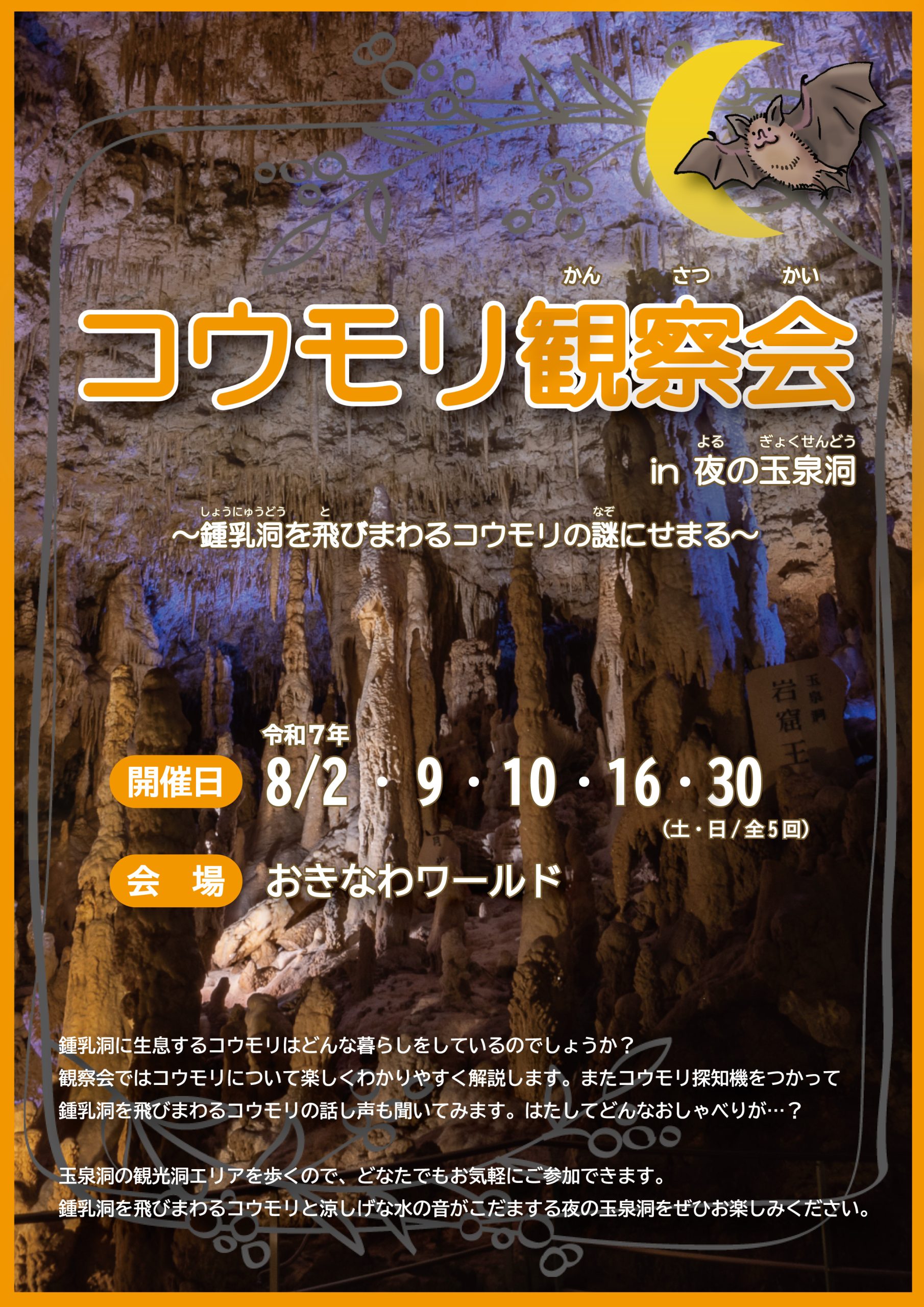 蝙蝠觀察會傳單表